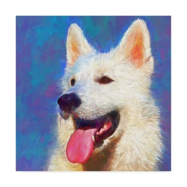 Cora Niele 'Endless Enthusiasm' Canvas Art, 35x35, Trademark Fine Art, Mfr#: ALI41798-C3535GG